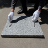 25kg Umbrella Granite Plate
